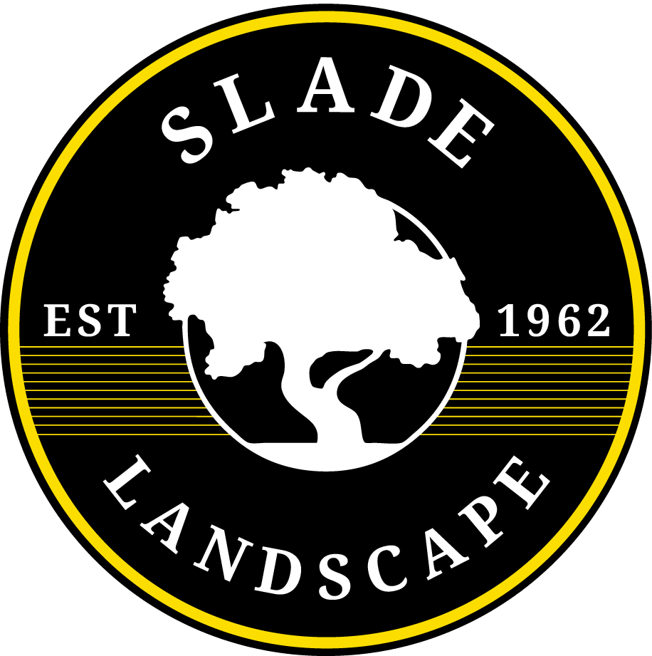 Slade Landscape