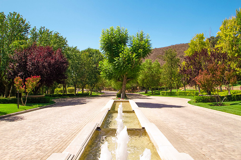 Landscape Maintenance