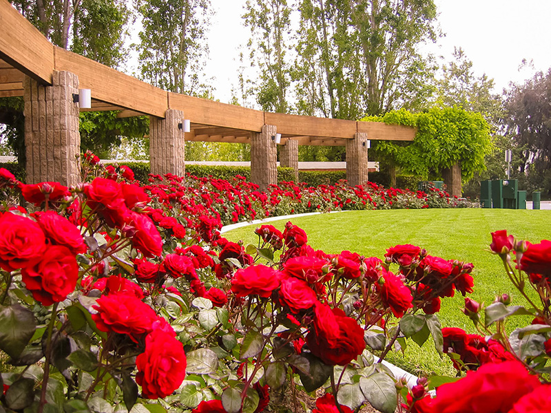 Country Meadows One landscaping