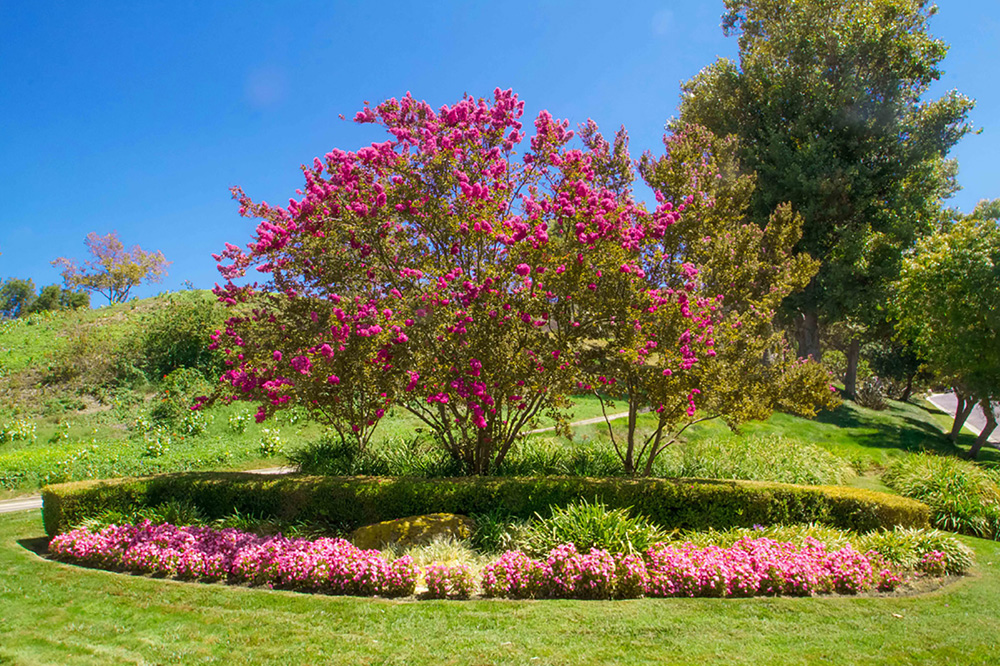 West Hill HOA landscaping